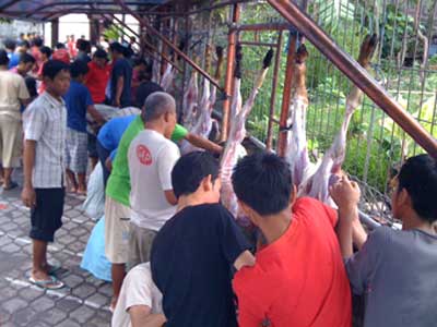 Kurban LDII Bali 2011