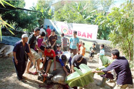 tebar-kurban-ldii-jateng