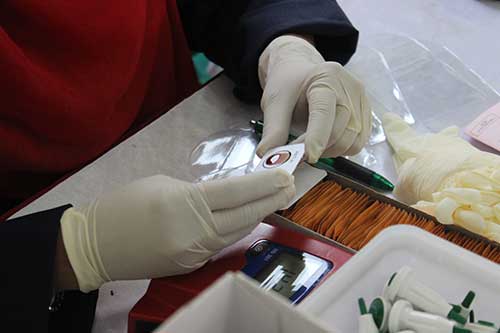donor darah