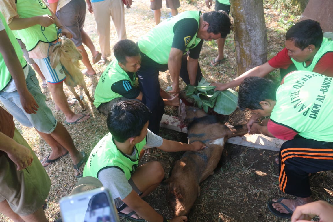Qurban Bojong Nangka