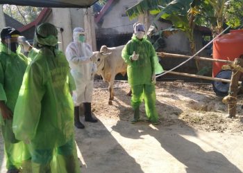 Tembus Rp400 Miliar, Begini Cara Warga LDII Berkurban