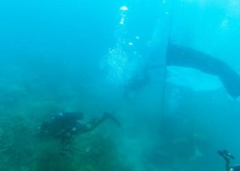 Merah Putih Tetap Berkibar Di Dasar Laut Walau Pandemi