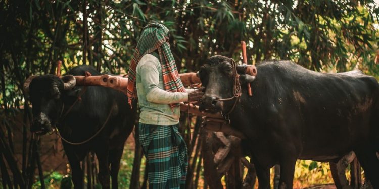 ilustrasi: afiaraisa/unsplash