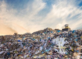 Ilustrasi (vchal/Getty Images/iStockphoto)