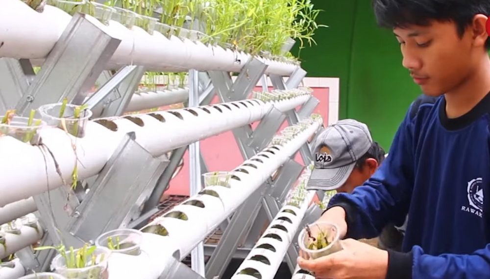 Penggunaan halaman rumah sebagai area bercocok tanam dengan sistem hidroponik untuk memenuhi kebutuhan keluarga. Dok. LINES