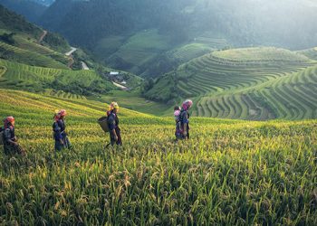 Terluas Wilayah Daratannya, Masihkah Harus Impor Produk Pangan?