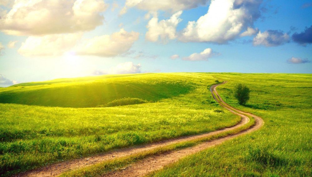 Ilustrasi: 1freewallpapers.com