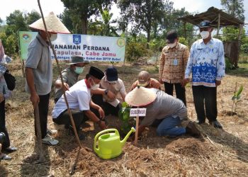 Tanam Tiga Komoditas Pertanian di Bangka Tengah, LDII Jalin Kerjasama dengan Pemprov dan BPTP Babel