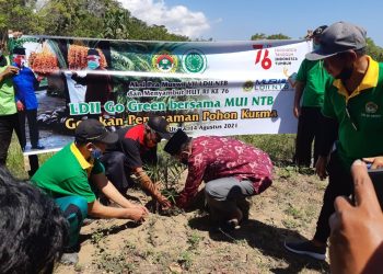 Gelar Aksi Go Green, LDII-MUI Tanam Pohon Kurma