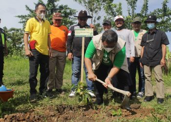 Kampanye Go Green, DPW LDII Lampung Gelar Gerakan Tanam Pohon