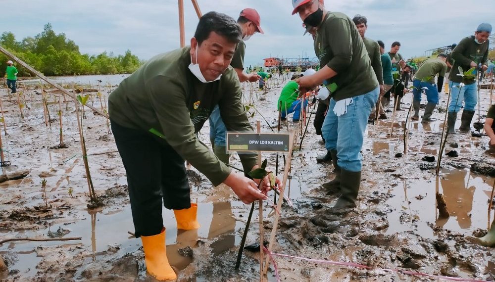 Ketua DPW Kaltim Prof. Krishna mengatakan, penanaman mangrove mencegah pemanasan global. Foto: Kiriman Daerah.
