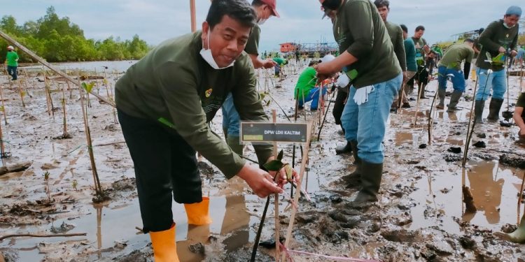 Ketua DPW Kaltim Prof. Krishna mengatakan, penanaman mangrove mencegah pemanasan global. Foto: Kiriman Daerah.