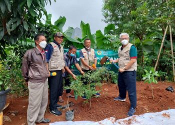 Sambut Bulan Menanam Pohon, LDII Kota Bekasi Tanam 150 Pohon