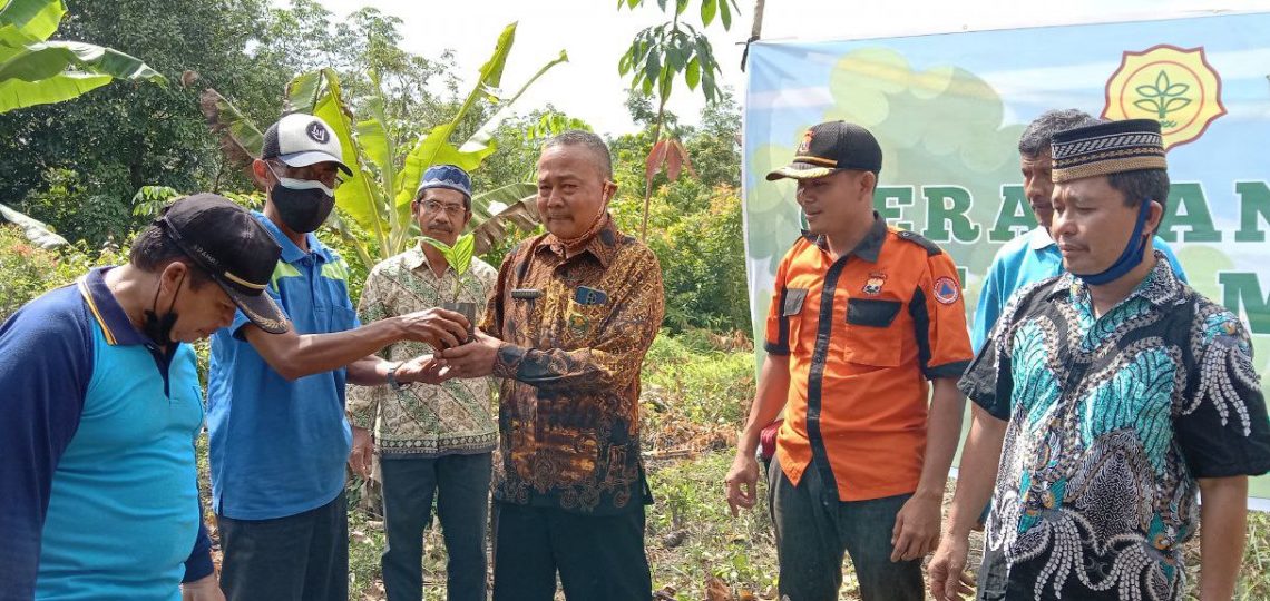 LDII Pali Sumatera Selatan gelar aksi penanaman pohon sambut Hari Menanam Pohon Indonesia.