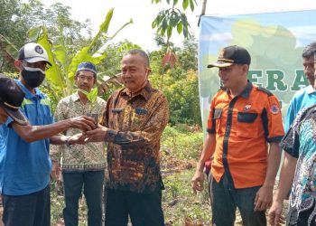 Peduli Lingkungan, LDII Pali Tanam 1.000 Pohon di Puncak Tebing Putih