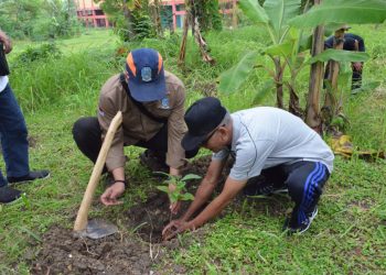 Tumbuhkan Rasa Peduli Lingkungan, DPD LDII Pamekasan Tanam Pohon Gandeng Dinas Kehutanan dan Masyarakat