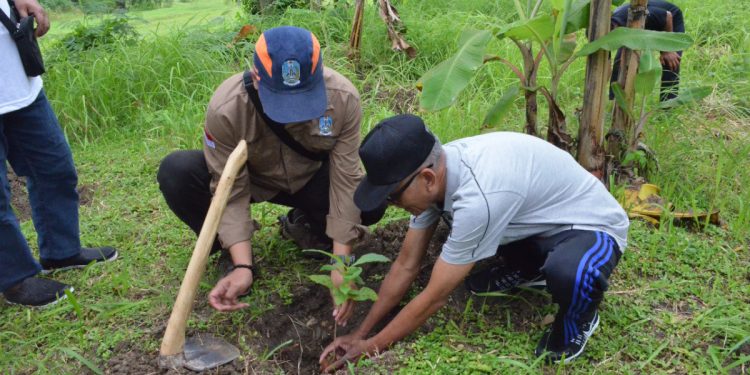 DPD LDII Pamekasan Gandeng Dinas Kehutanan dan Masyarakat Menanam Bibit Pohon Jati. Foto: Kiriman Daerah.