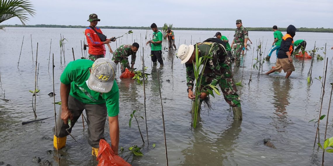 LDII Ketapang Tanam Ribuan Mangrove. Foto: Kiriman Daerah.