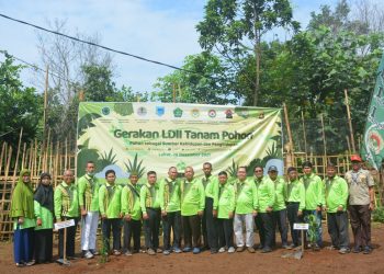 Gelar Aksi Tanam Pohon, Wabup Lahat: LDII Peduli Kelestarian Lingkungan
