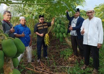 Dukung Kemandirian Ekonomi Panti Asuhan, LDII Kalbar Tanam Ribuan Pohon