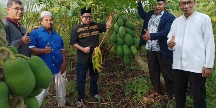 LDII Kalbar menanam tanaman produktif di sekitar panti asuhan sebagai pendorong produktivitas ekonomi masyarakat. Foto: LDII.