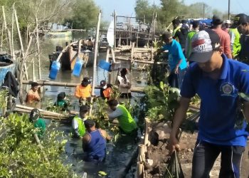 Generasi Muda LDII Demak Berpartisipasi Tanam 2.000 Mangrove