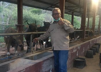 Peneliti Pangan Ingatkan Kearifan Lokal Untuk Hadapi Krisis Pangan Dunia