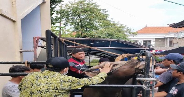 Warga LDII yang ada di seluruh kabupaten/kota se-Bali serentak melaksanakan pemotongan hewan kurban pada 10 Juli. Foto: LINES.