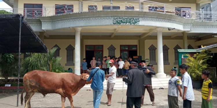 Kurban LDII Jember pada Idul Adha tahun ini justru meningkat dibandingkan tahun lalu. Foto: LINES.