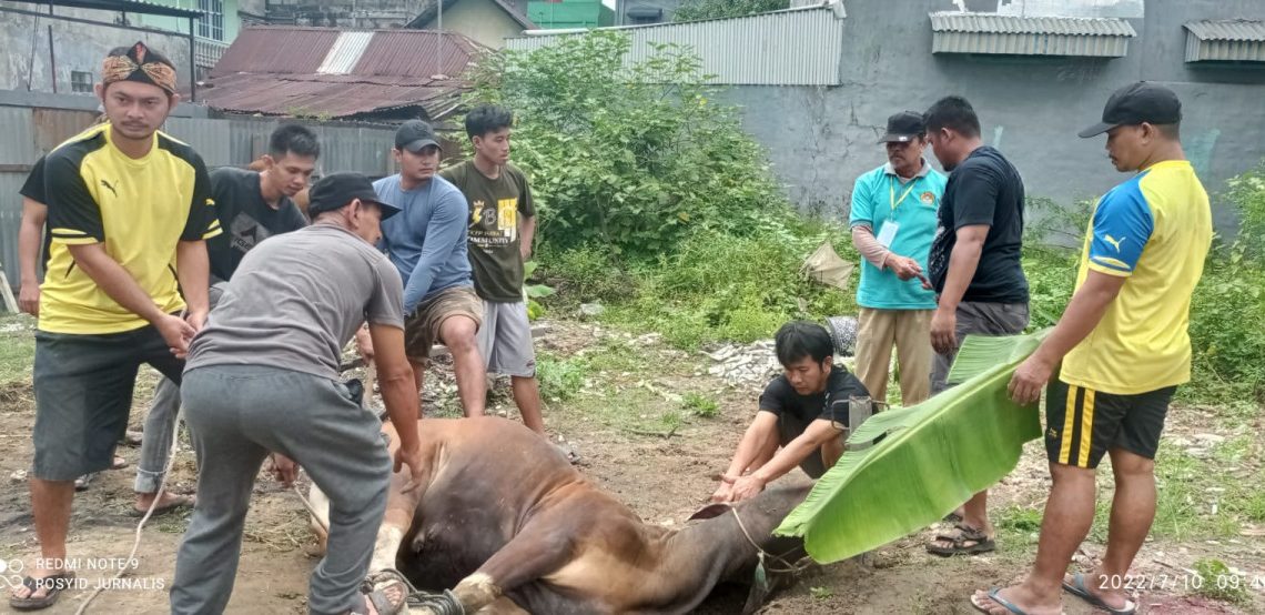 Meski wabah PMK marak dan pandemi belum hilang, LDII Jambi berhasil menyembelih ratusan hewan kurban. Foto: LINES.