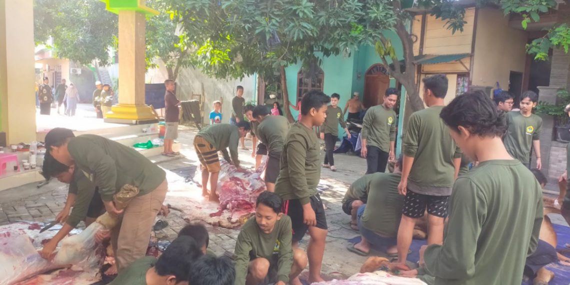 PC LDII Kalideres.mampu menghimpun 19 ekor sapi dan sembilan ekor kambing. Foto: LINES.