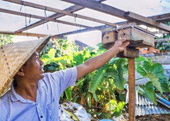 Warga LDII Tabanan Sulap Tanah Kosong Jadi Perkebunan Terintegrasi dan Bernilai Ekonomi
