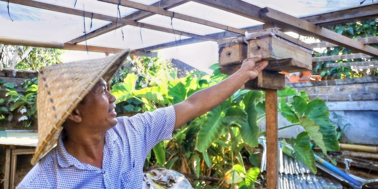 Warga LDII Tabanan, Hambali menciptakan kebun integrasi atau integrated gardening yang memanfaatkan lahan pemukiman. Foto: LINES.