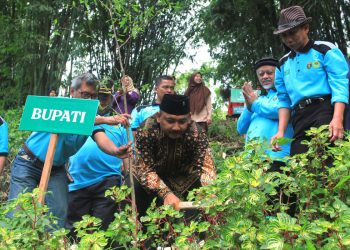 Usai Tanam 4 Juta Pohon, LDII Bangun Arboretum di Lereng Utara Gunung Lawu