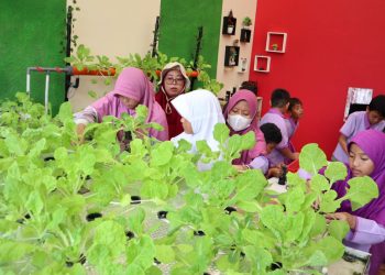 Ini Cara Bangun Ketahanan Pangan Dimulai dari Keluarga