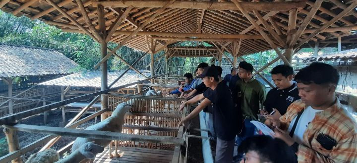 Bidang Kemandirian PC LDII Kecamatan Bulu, Kabupaten Sukoharjo, Jawa Tengah menggelar kegiatan “Workshop Peternakan Domba”, pada Minggu (4/6). Foto: LINES.
