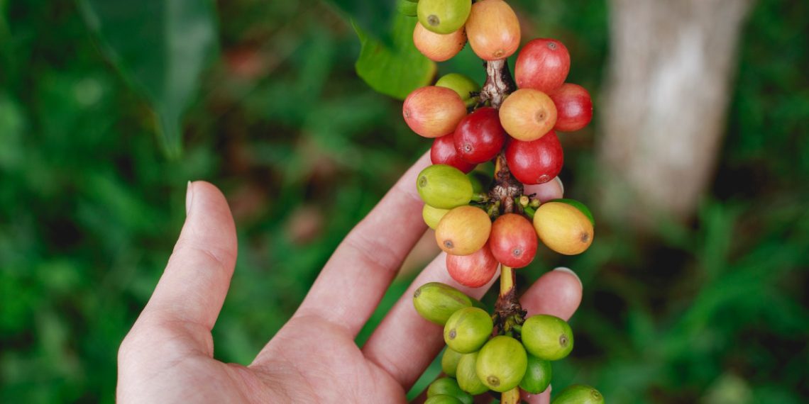 ilustrasi: unsplash/katyaross.