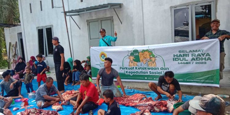 DPD LDII Kabupaten Asahan, Sumatera Utara, menyembelih hewan kurban sebanyak 50 ekor ternak terdiri dari 29 sapi dan 21 kambing. Foto: LINES.