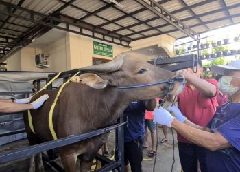 LDII Cilandak Barat: Sukses Berkurban, Sukses Berbagi