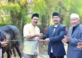 Himpun Belasan Ribu Hewan Kurban, Ini Hikmah Idul Adha Menurut LDII