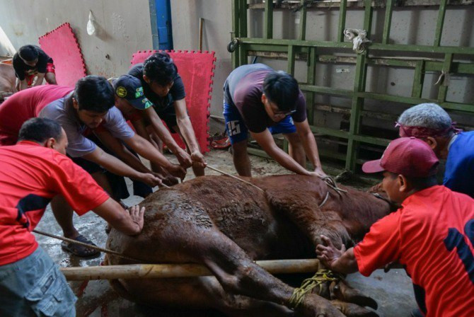 DPW LDII Sumatera Barat (Sumbar) menebar daging kurban kepada masyarakat, di berbagai wilayah di Provinsi Sumbar. Foto: LINES.