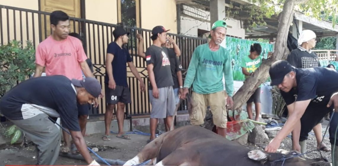 DPD LDII Kabupaten Sumbawa Barat (KSB) melaksanakan penyembelihan 20 hewan kurban. Foto: LINES.