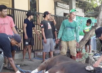 LDII Kabupaten Sumbawa Barat Tebar Daging Kurban ke Warga