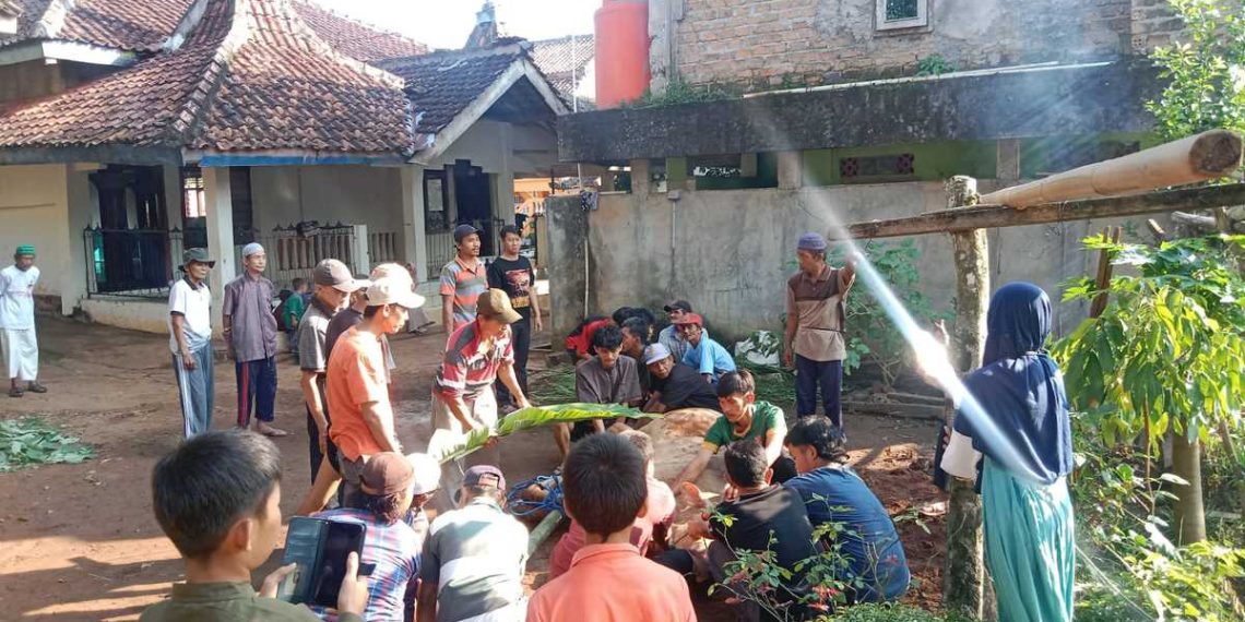 Idul Adha 1444 Hijriah DPD LDII Kabupaten Way Kanan mendistribusikan 3.120 kilogram daging. Foto: LINES.