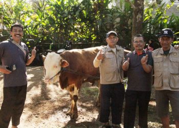 Warga LDII Cimanggung Bagikan Ratusan Paket Daging Kurban