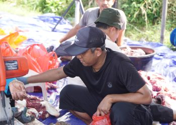 kurban pac ldii ldii pacitan kurban pakai ayam ldii papua kurban pakai uang hutang ldii asad lbi pacitan ldii pamekasan info pacitan hari ini 2022 sdiic pacitan pacitan ngadirojo pacitan ngawi logo pacitan png pantai pacitan yang ada penginapan pantai pacitan yang di pinggir jalan kurban pakai ayam berapa ekor kurban dengan ayam kurban ayam apakah boleh kurban ayam kurban ayam bolehkah hukum kurban ayam kurban pakai kambing betina kurban ayam berapa ekor alamat ldii papua ldii padang ldii jember ldii kalbar ldii samarinda