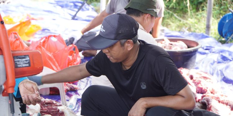 kurban pac ldii ldii pacitan kurban pakai ayam ldii papua kurban pakai uang hutang ldii asad lbi pacitan ldii pamekasan info pacitan hari ini 2022 sdiic pacitan pacitan ngadirojo pacitan ngawi logo pacitan png pantai pacitan yang ada penginapan pantai pacitan yang di pinggir jalan kurban pakai ayam berapa ekor kurban dengan ayam kurban ayam apakah boleh kurban ayam kurban ayam bolehkah hukum kurban ayam kurban pakai kambing betina kurban ayam berapa ekor alamat ldii papua ldii padang ldii jember ldii kalbar ldii samarinda