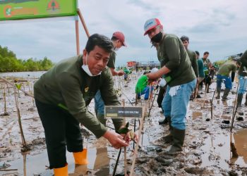 Peringatan Hari Lingkungan Hidup Indonesia, LDII Ungkap Strategi Perbaiki Kualitas Udara