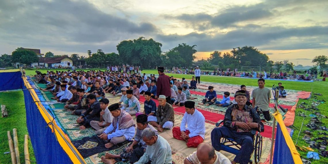 SOlat ied LDII