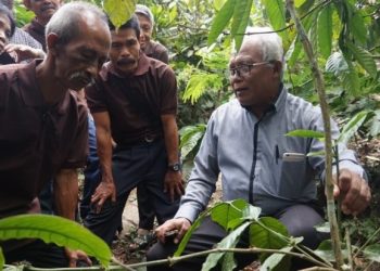 Hari Jamu Nasional, LDII Dorong Diseminasi Manfaat Jamu di Kalangan Anak Muda